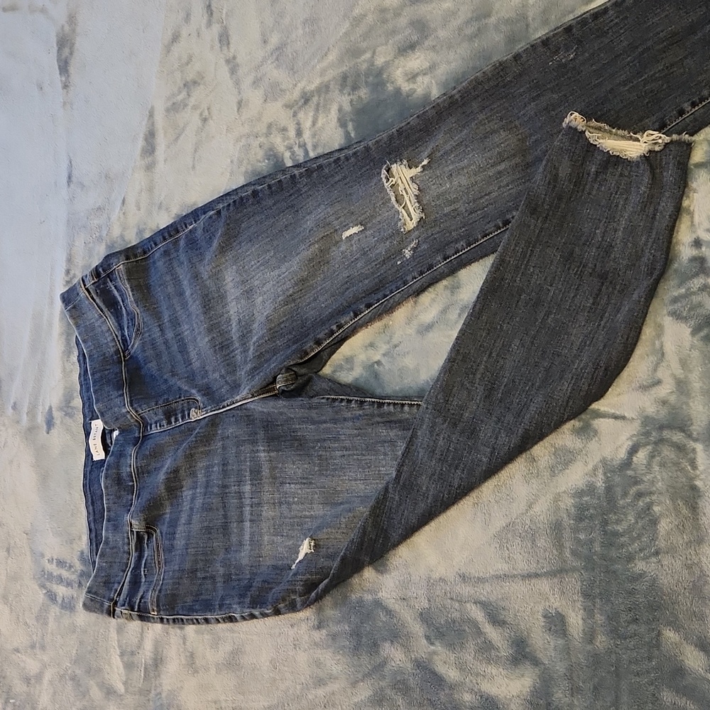 Lane Bryant Jeans